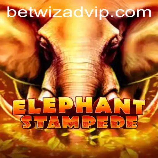 Discovering ElephantStampede: A Thrilling Adventure in Betwizad